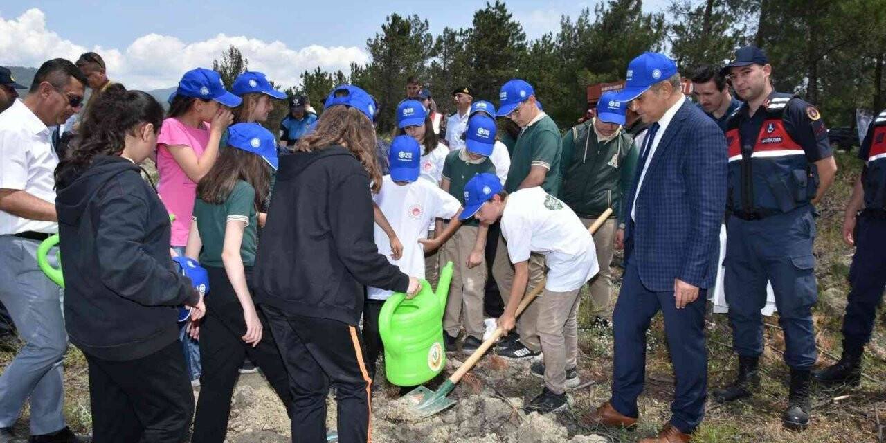 Karabük’te küle dönen orman dikilen fidanlarla yeşillenecek