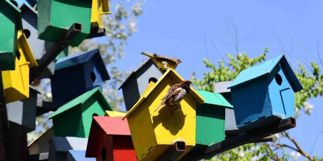 Değirmen Boğazı kuşlara yuva oldu