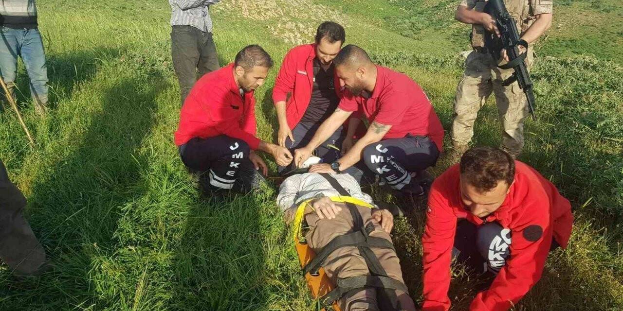 İnek tepmesi sonucu yaralanan şahıs hastaneye yetiştirildi