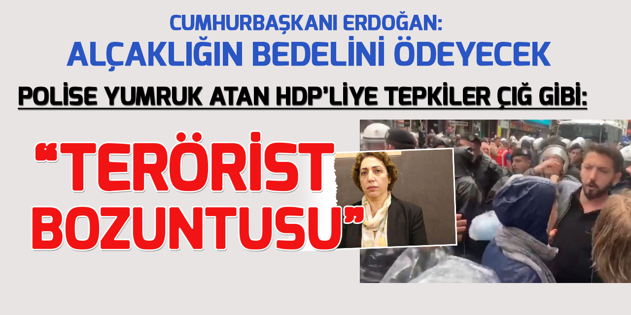 Polise yumruk atan HDP Milletvekili Saliha Aydemir'e tepkiler çığ gibi