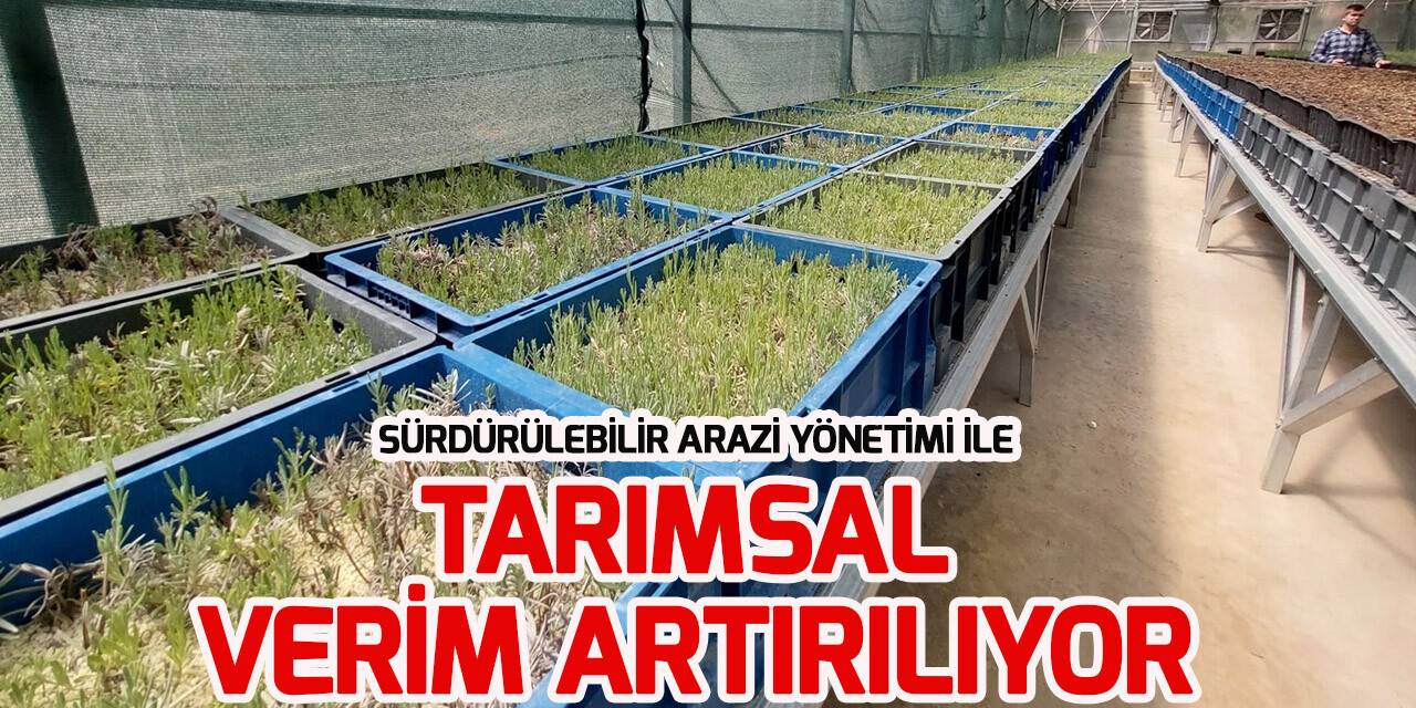 Sürdürülebilir Arazi Yönetimi ve İklim Dostu Tarım Projesi Türkiye'de tarımı geliştiriyor