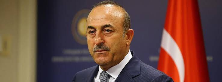 Dışişleri Bakanı Çavuşoğlu, Hırvatistan Cumhurbaşkanı Milanovic ile görüştü