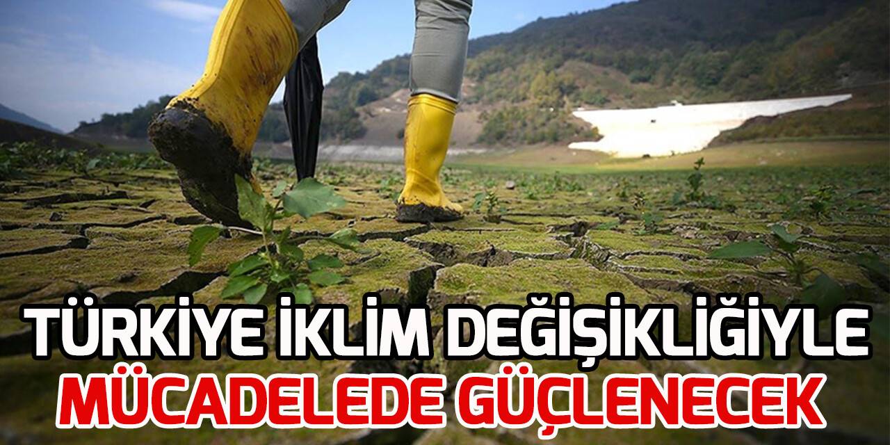 Türkiye, 2022'deki kritik adımlarla iklim değişikliğiyle mücadelesini güçlendirecek