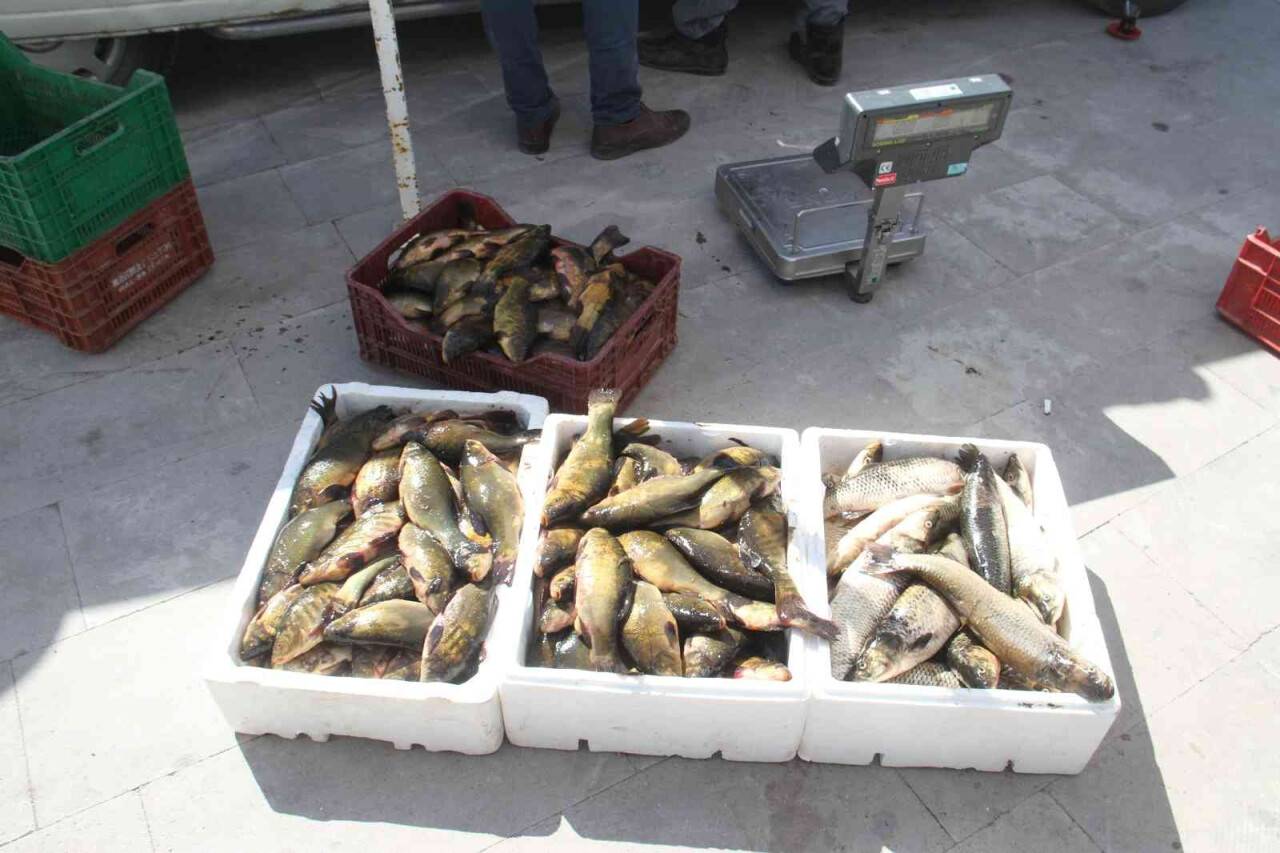 Beyşehir Gölü’nde su ürünleri av yasağı sona erdi