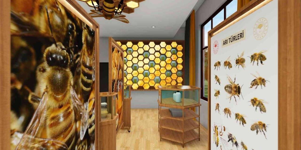 Arının yaşamını sanal ortama taşıyacak "Kafkas Arı Konağı" bitme aşamasında