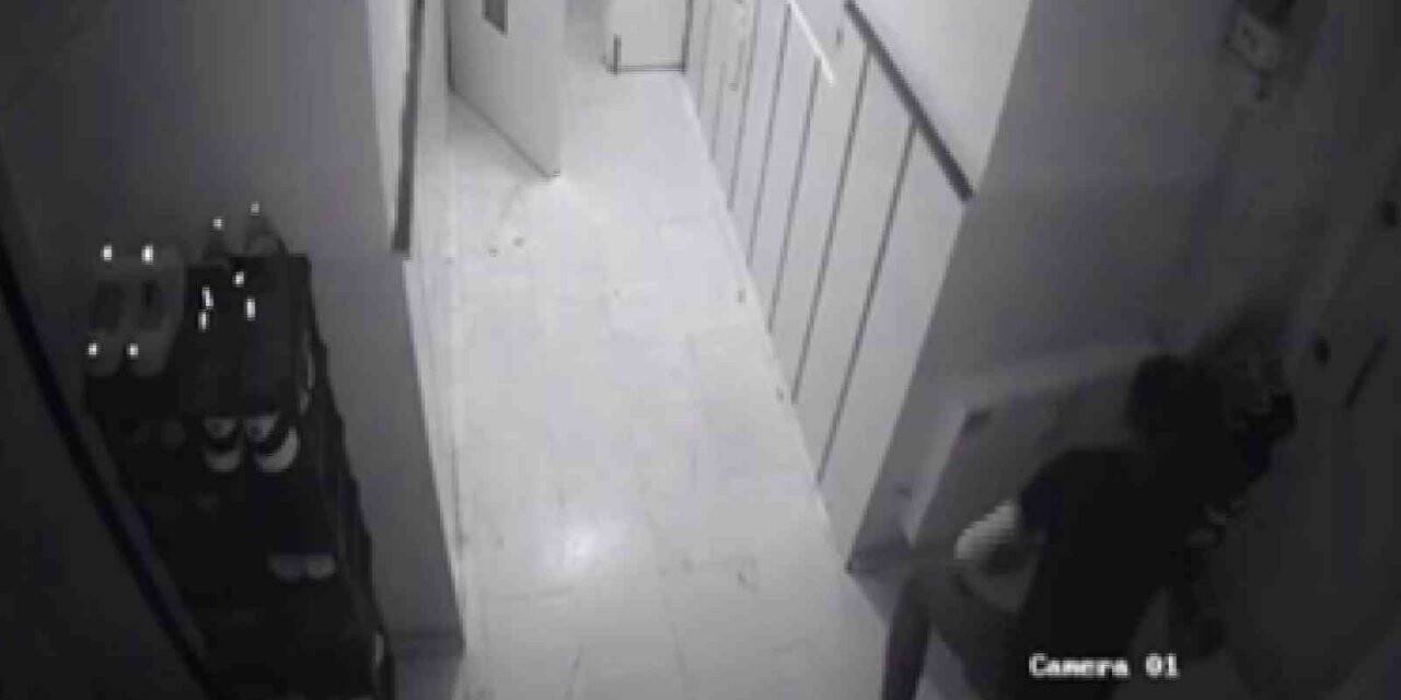 Misafir geldiği apartmanda ayakkabı avına çıktı, o anlar kameraya yansıdı