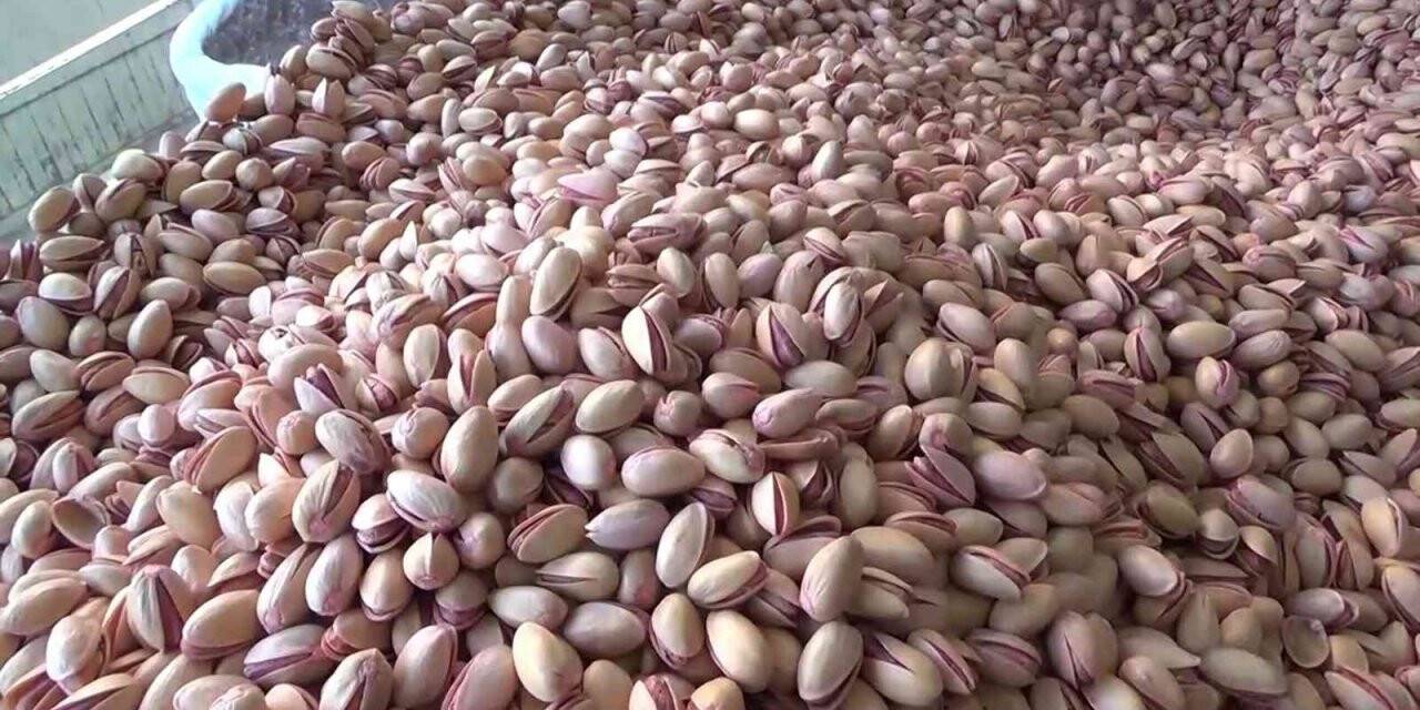 İran’dan getirilen fıstıklar Siirt fıstığının kalitesini düşürdü