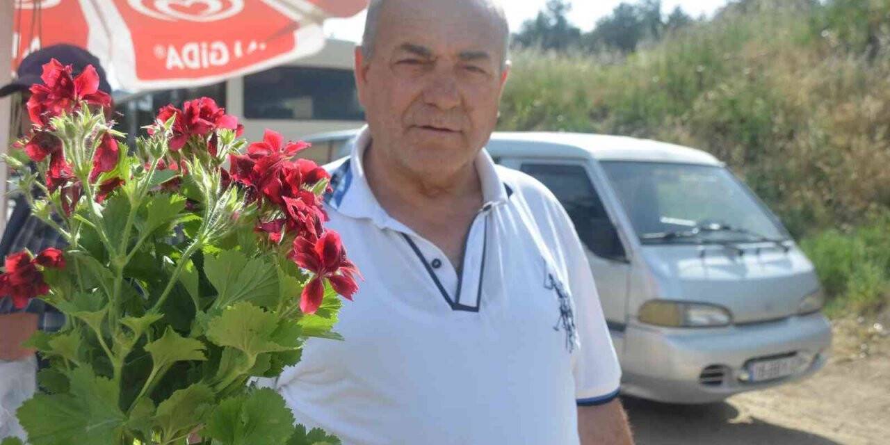 Bilecik’te şarkısıyla ünlü olan ’Ebe Gümeci’ çiçeğine vatandaşlar yoğun ilgi gösteriyor