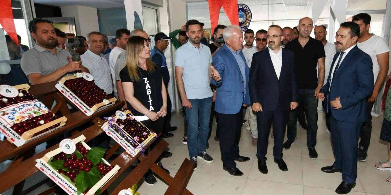 Lapseki’de 37’inci kez kirazlar yarıştı