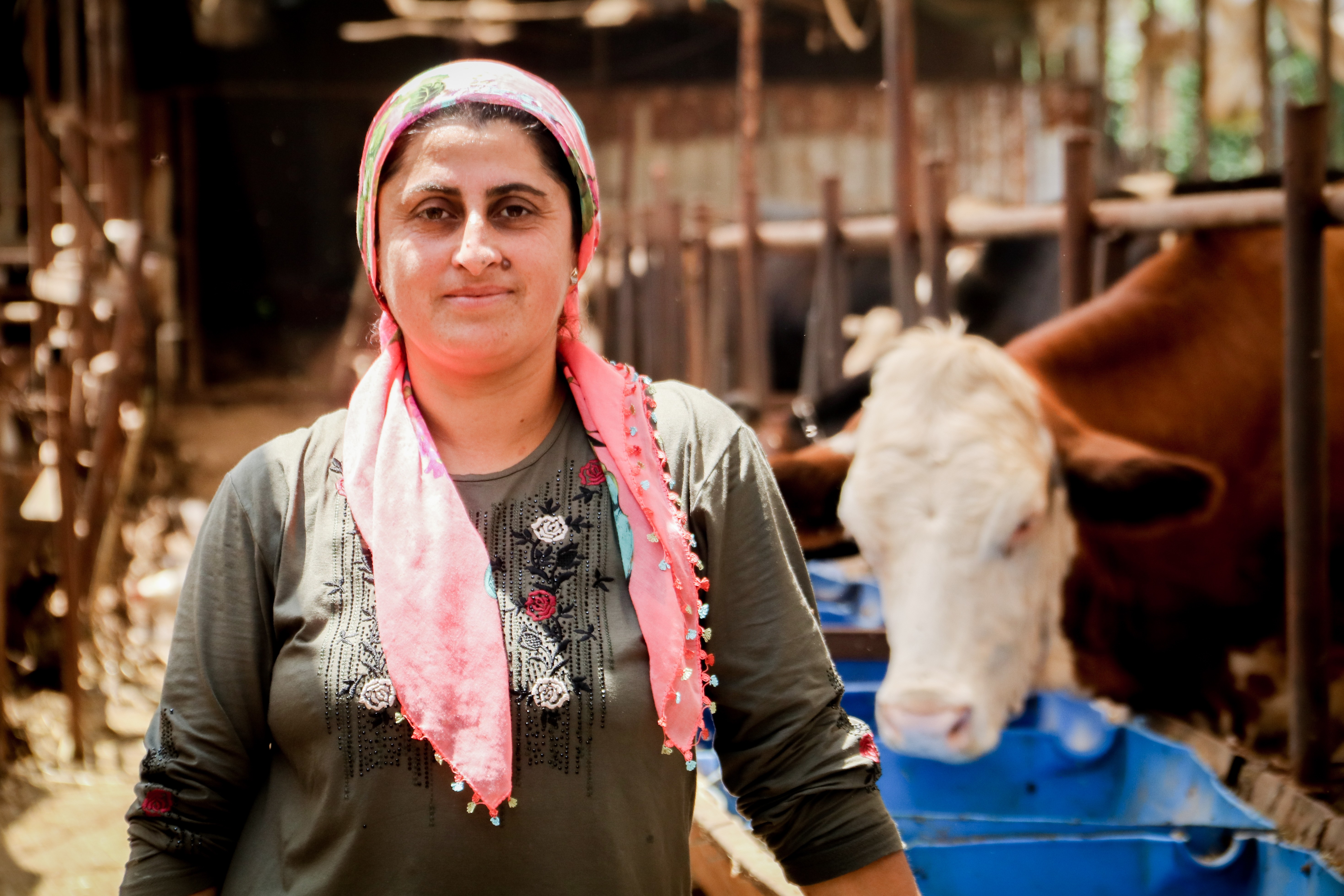 Evde canı sıkılan kadın hayvancılık işine girip 15 yılda servet sahibi oldu