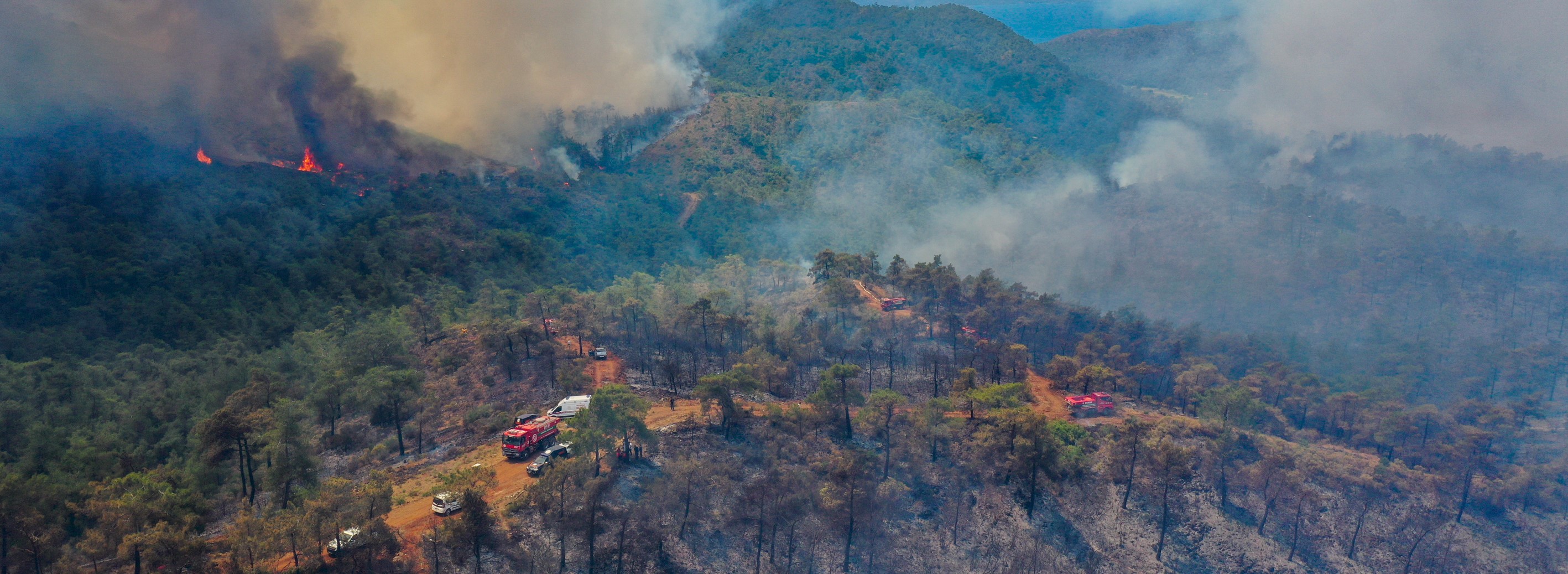 Sağlık Bakanı Koca'dan Marmaris'teki orman yangınına ilişkin açıklama