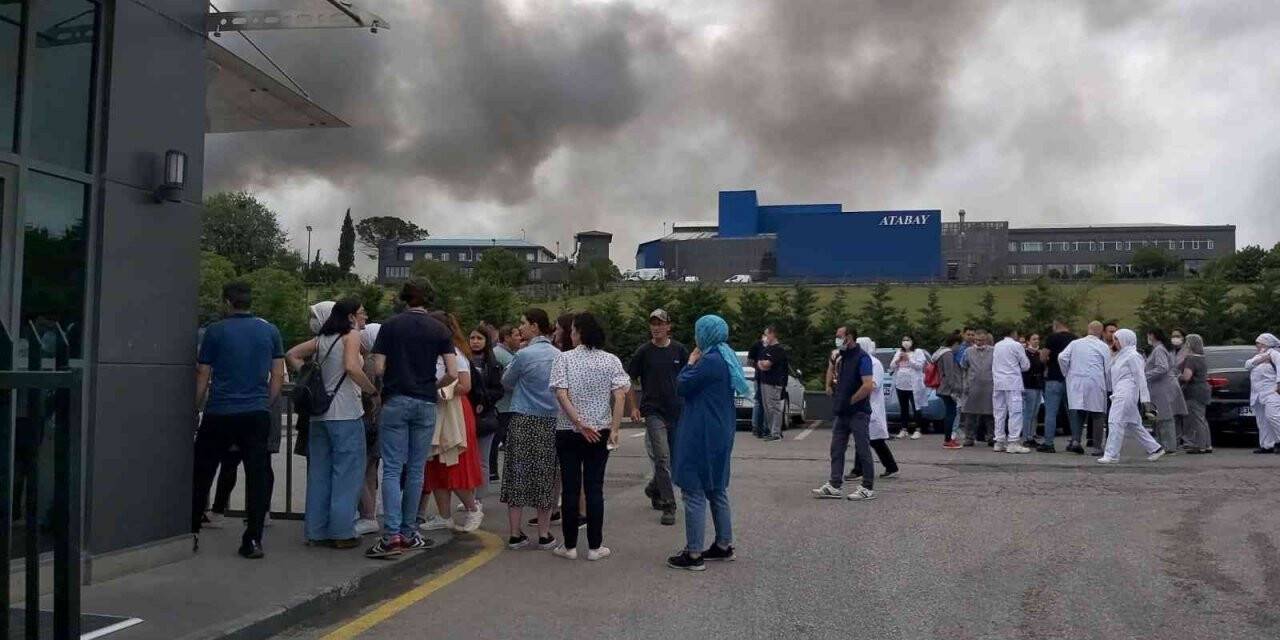 Kocaeli’de Kimya fabrikasında büyük yangın