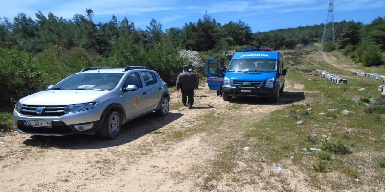 Arıcılar Aydın’da ayılardan değil hırsızlardan şikayetçi
