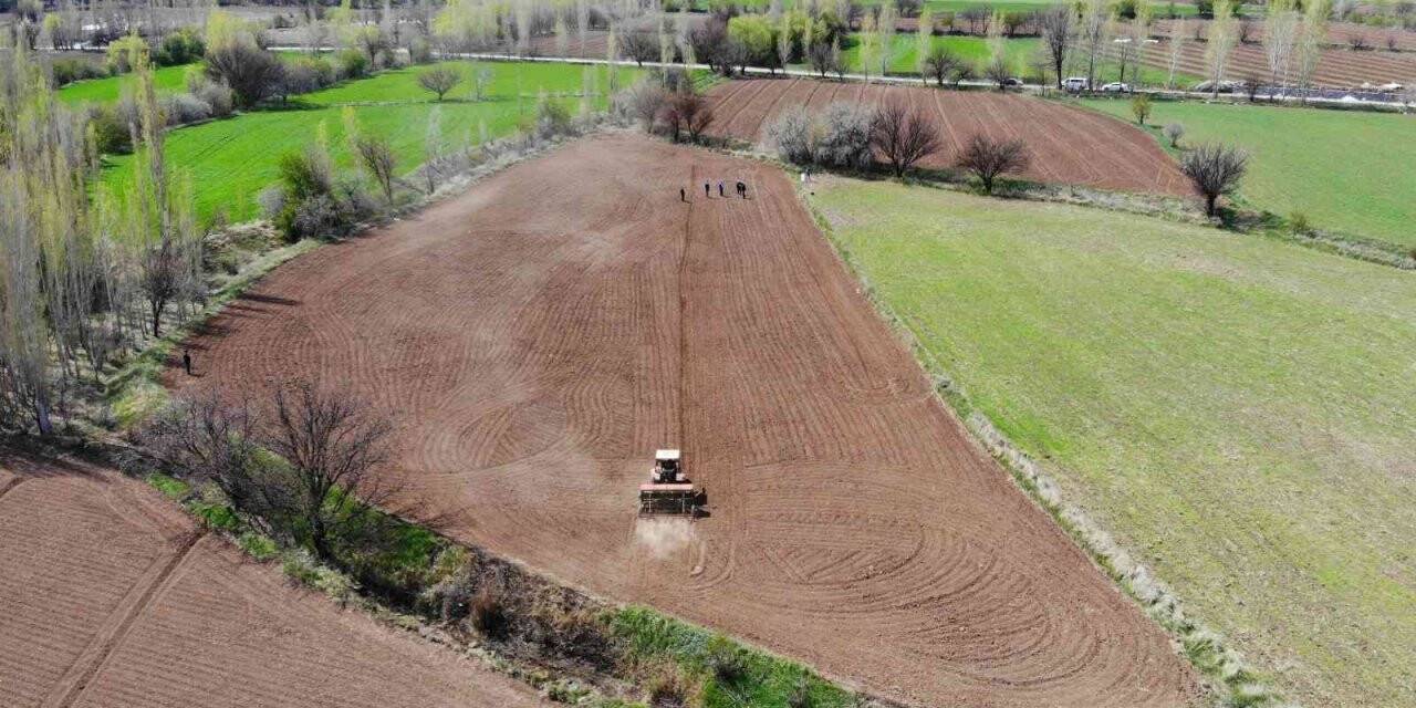 Tarımsal girdi fiyat endeksi yıllık yüzde 117,31, aylık yüzde 7,45 arttı