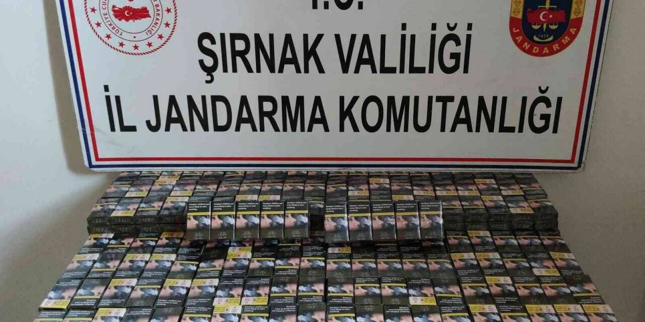 Şırnak’ta kaçakçılık ve asayiş operasyonu: 51 gözaltı