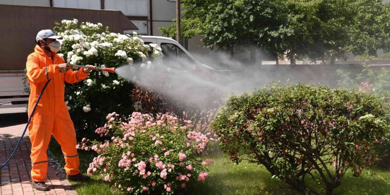 Selçuklu’da haşerelere karşı ilaçlama çalışmaları sürüyor