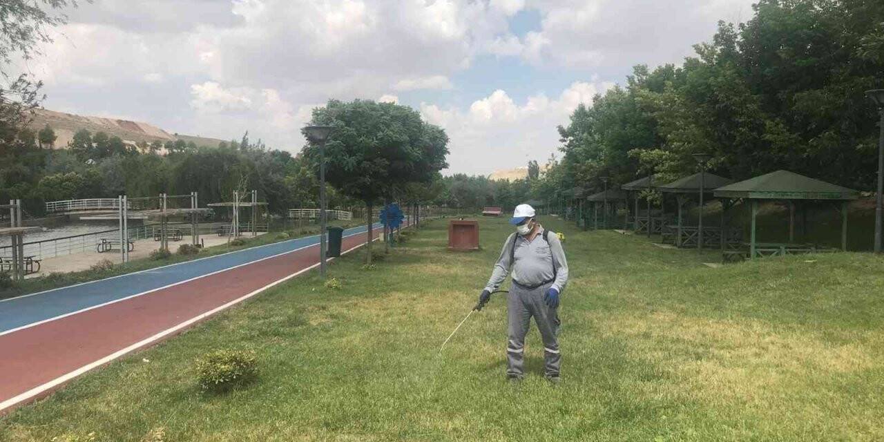 Gaziantep’te kene timi
