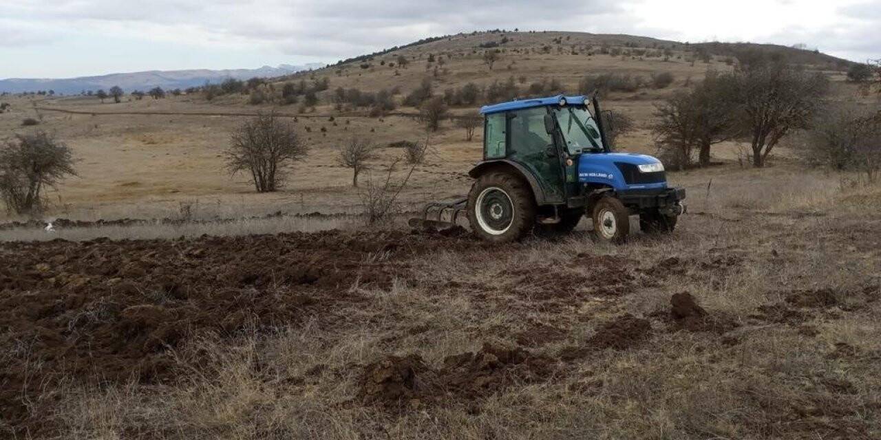 Ordu’da 18 bin dönüm arazi tarıma kazandırıldı
