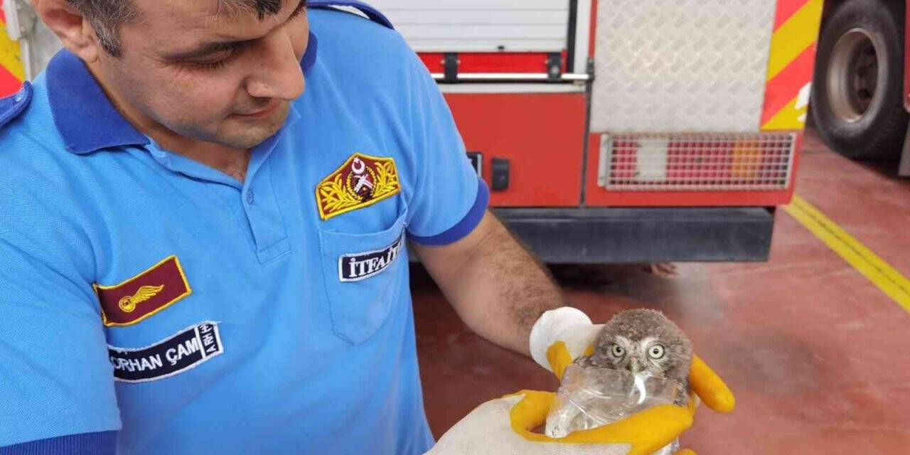 Havalandırma boşluğuna düşen yavru baykuşu itfaiye kurtardı