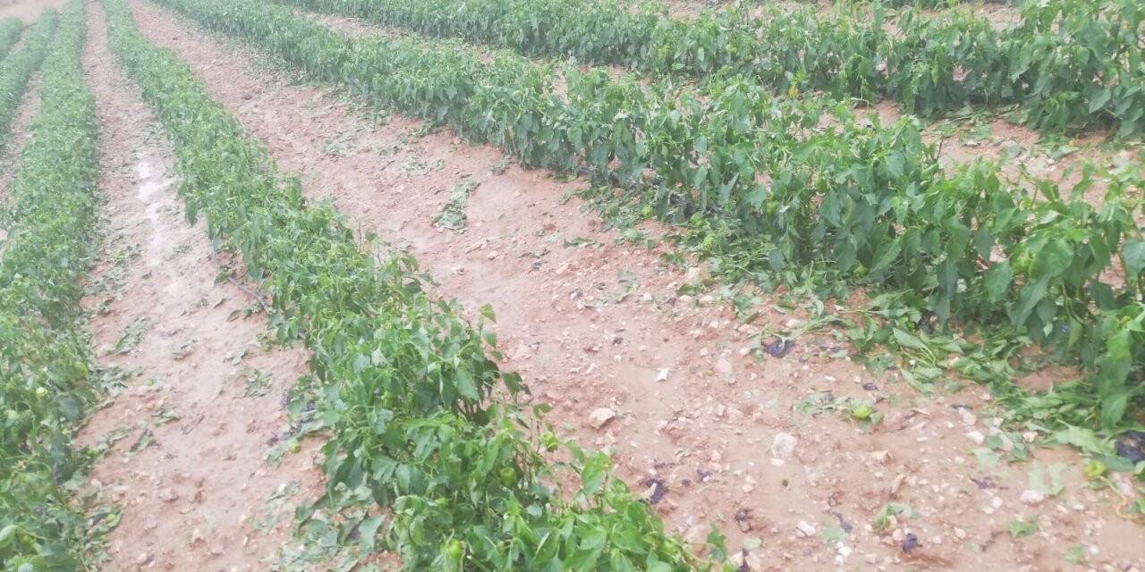 Bilecik’te ceviz büyüklüğünde dolu yağdı