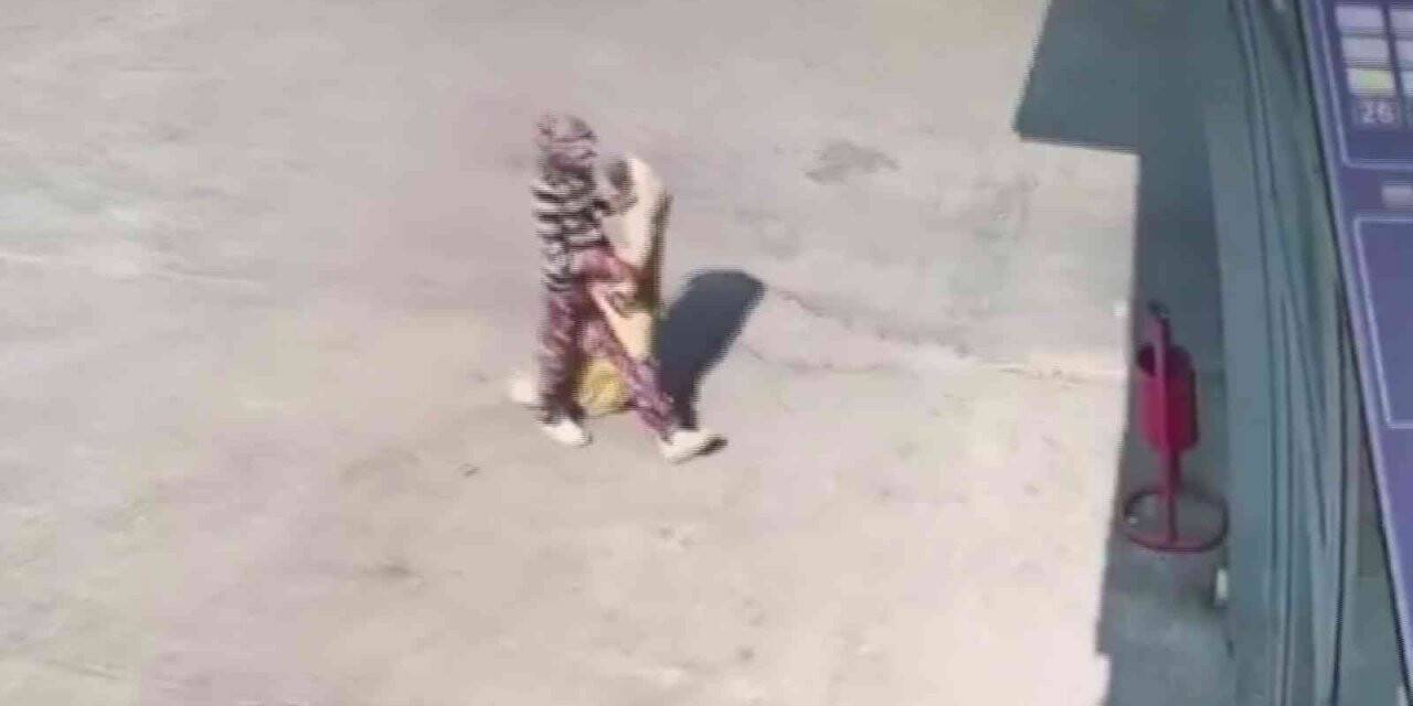 At arabalı hırsızların rahatlığı kameralara yansıdı