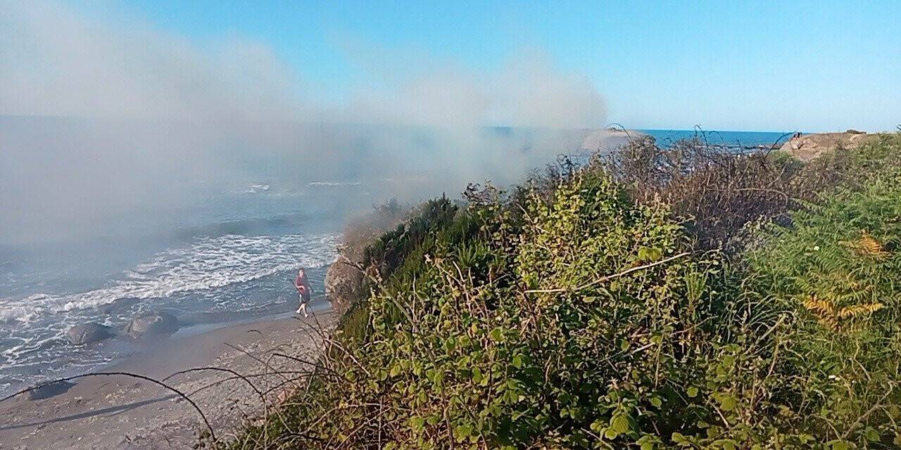 Ordu’da örtü yangını