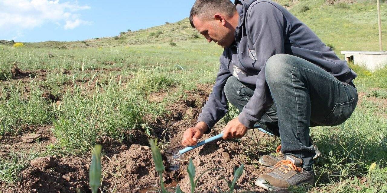 Zabıta memuru bin 500 goji berry fidesini toprakla buluşturdu