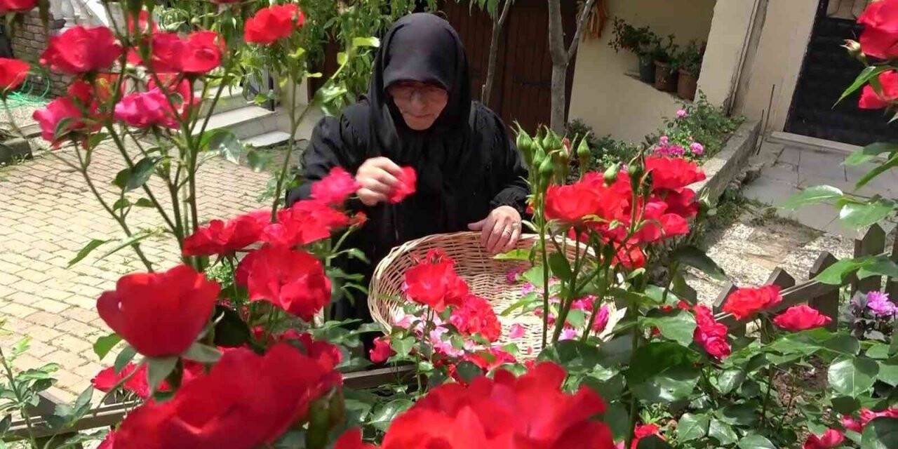 Şile’de üretilen doğal enginar ve gül sirkesi yoğun talep görüyor