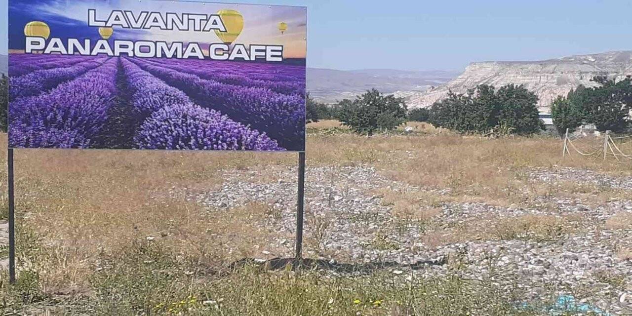 Kapadokya’dan hoş koku ve sağlık yayılıyor