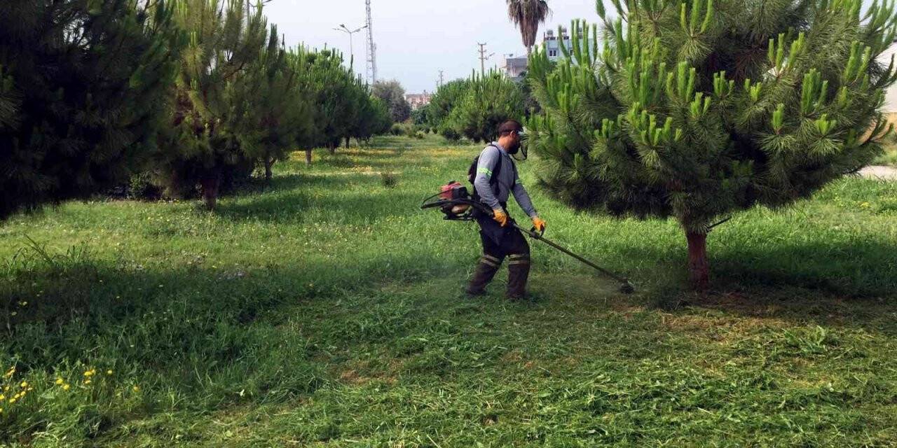 Akdeniz’de park ve yeşil alanlar yenileniyor