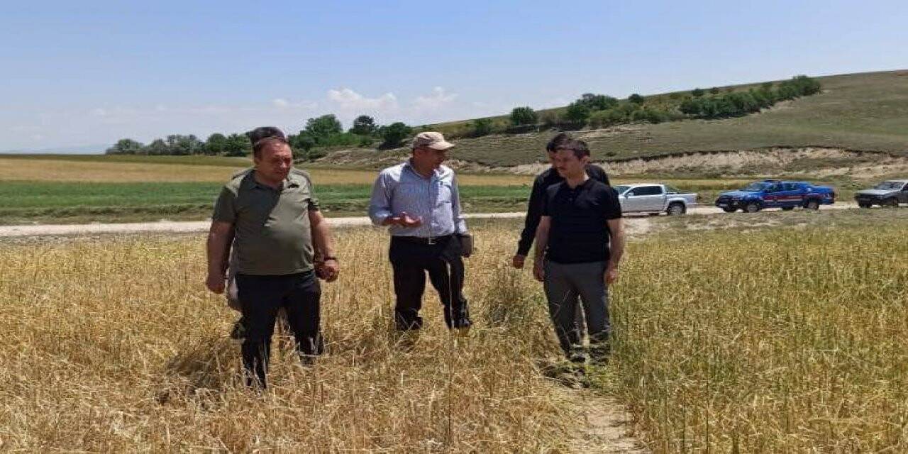 Kaymakam İrdelp, hasar tespit çalışmalarına katıldı