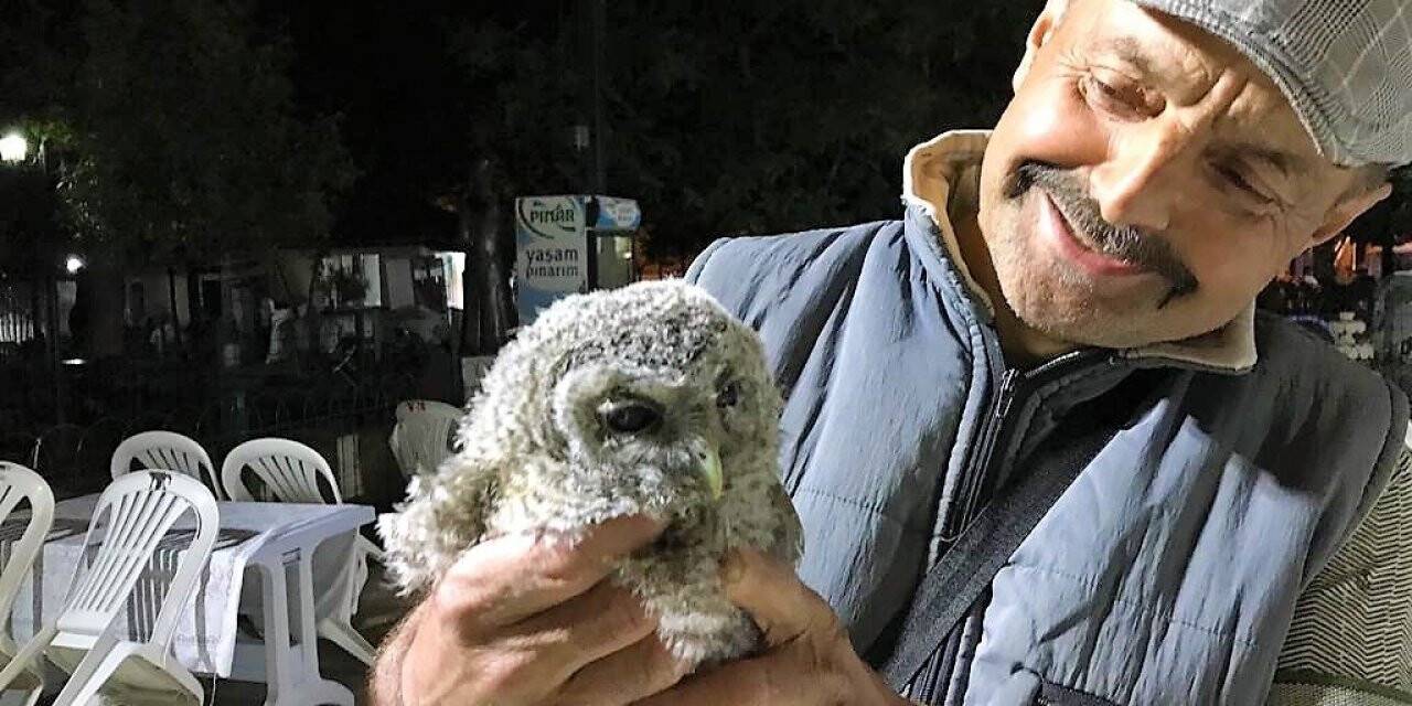 Tarlasında bulduğu yaralı baykuşa evladı gibi bakıyor