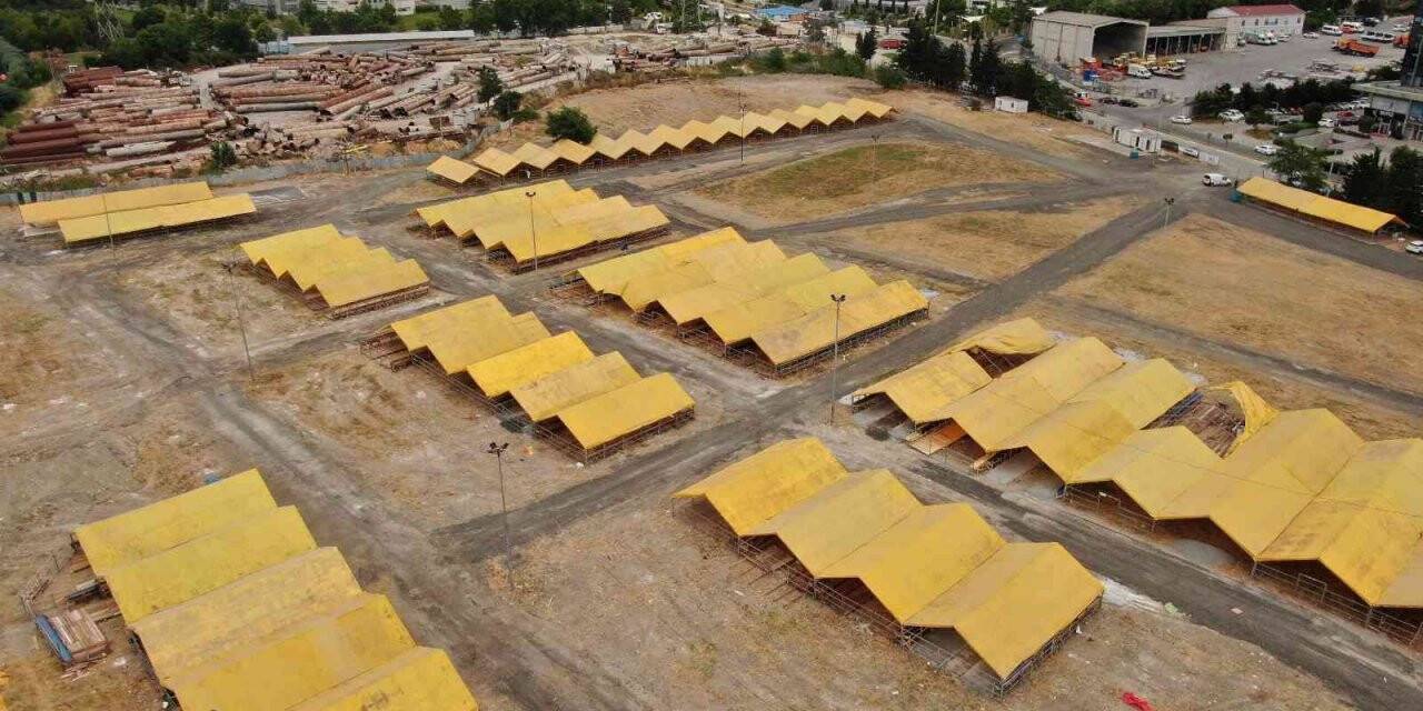 Kurban pazarları bayrama hazırlandı, kurbanlıkları bekliyor