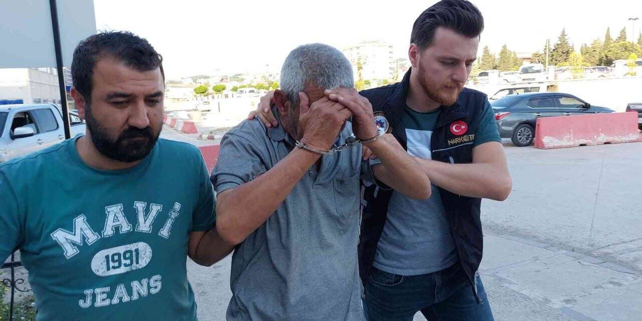 Samsun’daki dolandırıcılık operasyonunun ayrıntıları ortaya çıktı: Kamu zararı 23,9 milyon TL