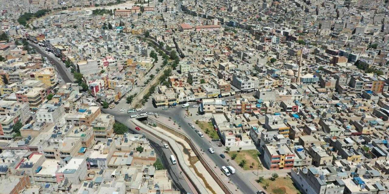 Beyazgül şehrin yarasına merhem oluyor