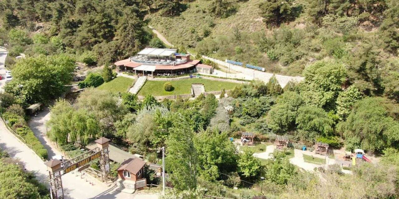 Mesir Tabiat Parkına yoğun ilgi