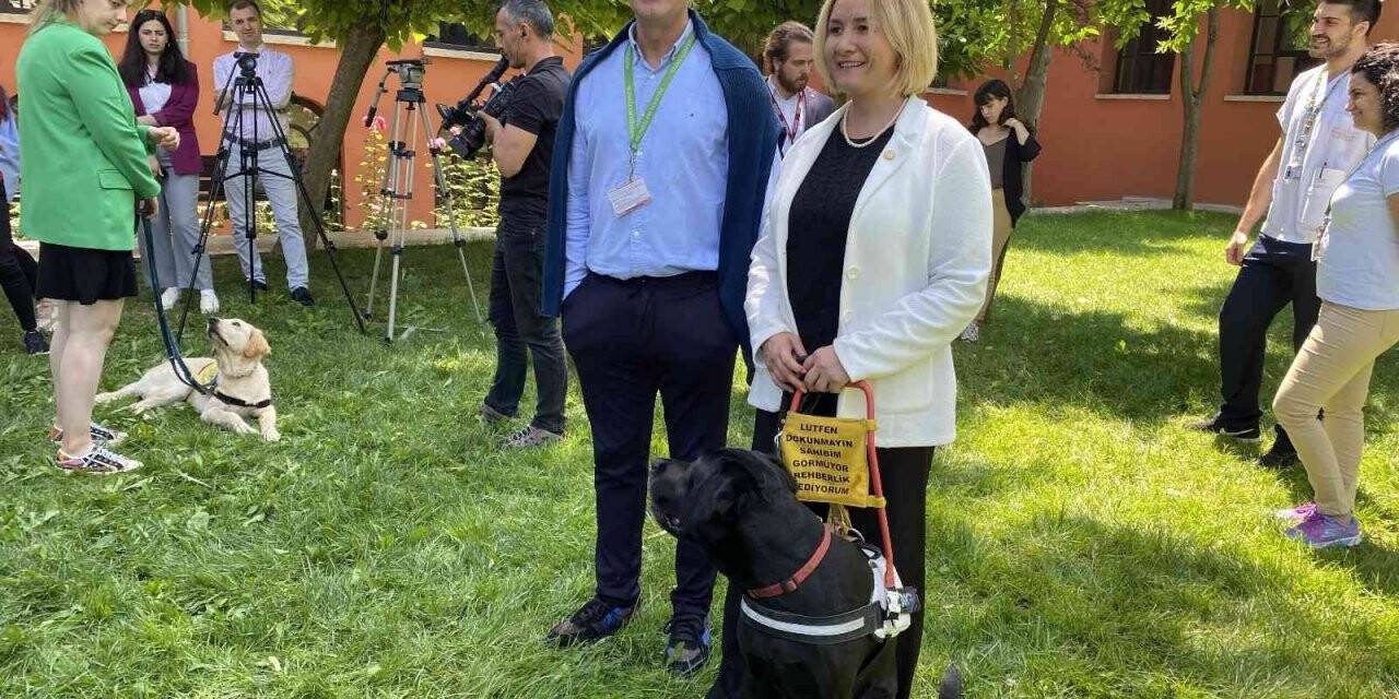 Görme engellilerin yol arkadaşı “rehber köpekler”