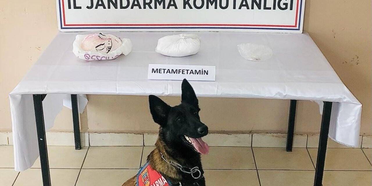 Jandarmanın uyuşturucu köpeği "Valör" buldu, yolcu otobüsündeki valizden 2 kilogram metamfetamin çıktı