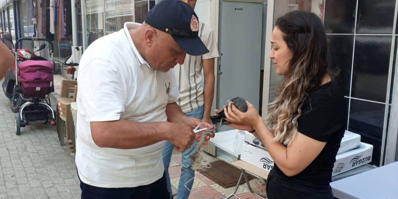 Sıkışan yavru kargayı itfaiye kurtardı