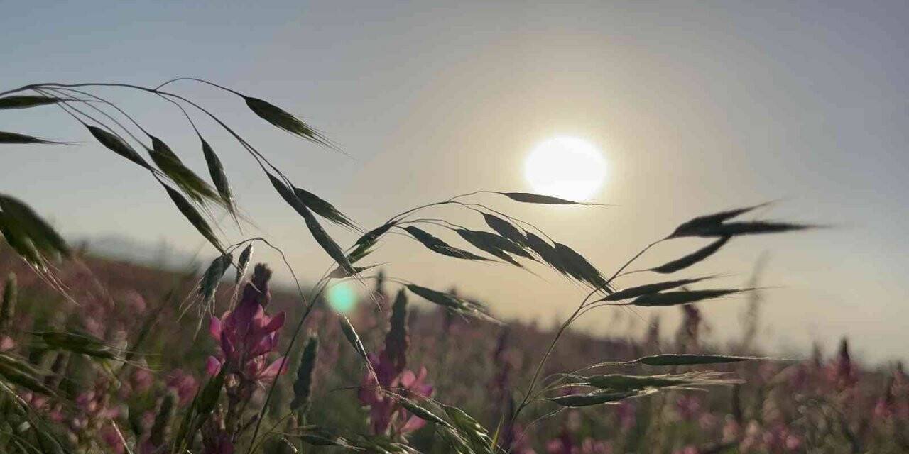 Ağrı’da göz kamaştıran gün batımı