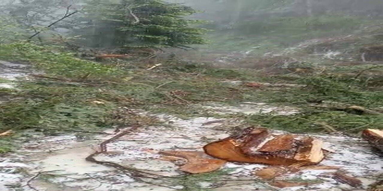 Dolu yağışı orman işçilerine zor anlar yaşattı