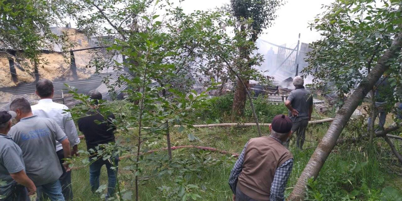 Ahırda çıkan yangında 10 büyükbaş hayvan telef oldu