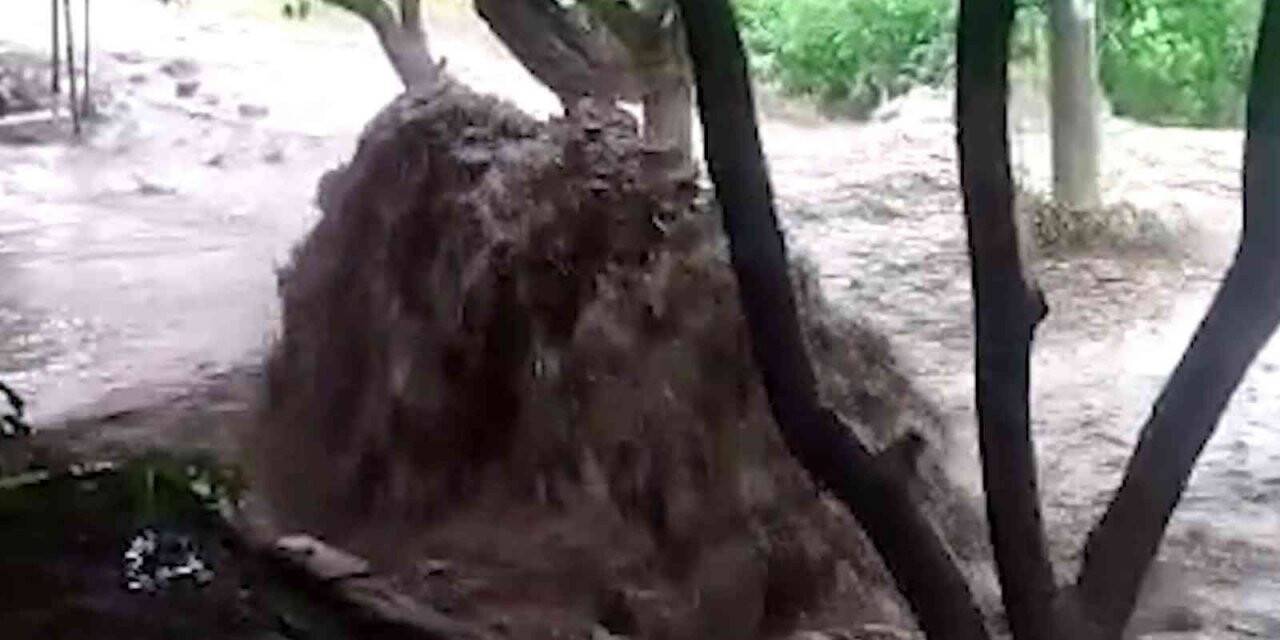 Sağanak sele döndü, tarım arazileri zarar gördü