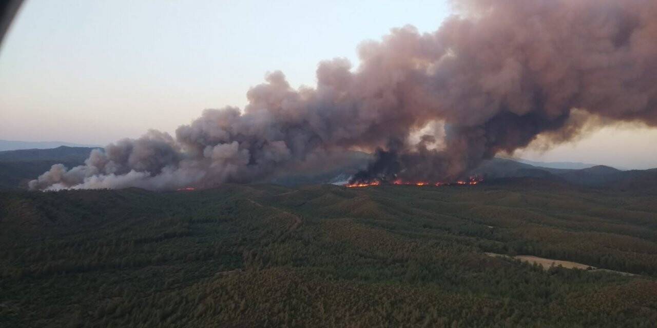 Marmaris’te orman yangını