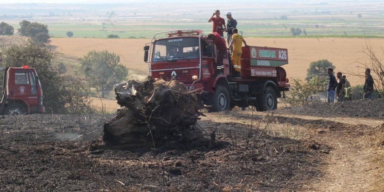 Manyas‘ta 200 dekar buğday tarlası kül oldu
