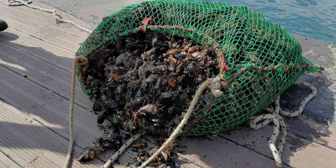 Sarıyer’de amatör olta balıkçıları ve denizde kaçak midye avcılığı denetimi