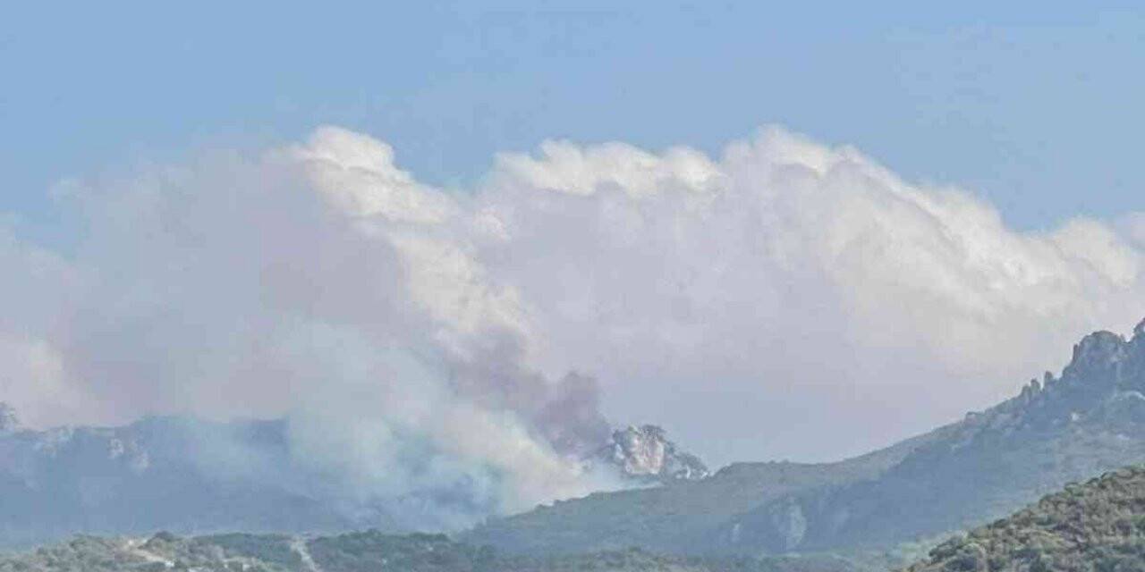 KKTC’de 3 noktada orman yangını