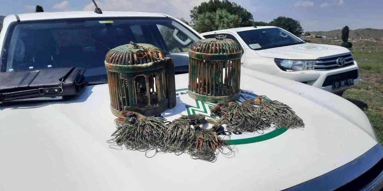 Kaçak keklik avcısına suçüstü