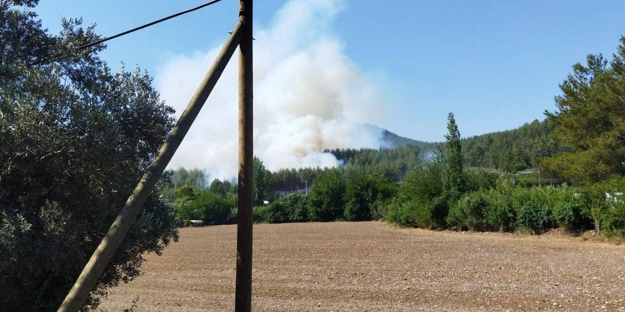 Seydikemer’de orman yangını çıktı