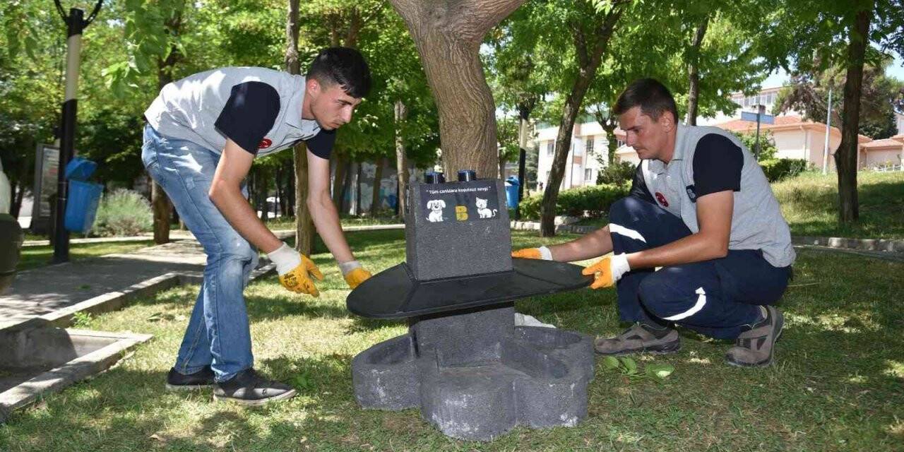 Balıkesir’in her yerinde ’Pati’ler var